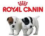 Royal Canin корма